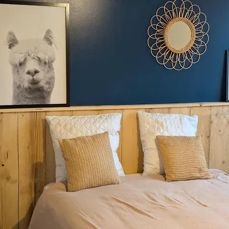 Le 143 Blum, 2 Bedrooms, 5 Personnes كليرمونت-فيراند